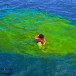 Sachet De Fluorescine 40g Dans Une Pochette étanche -Suuntoe Magasin sachet fluorescine 40 g colorant fluorescent eau aquatys pas cher palanquee sub odyssee lyon 2